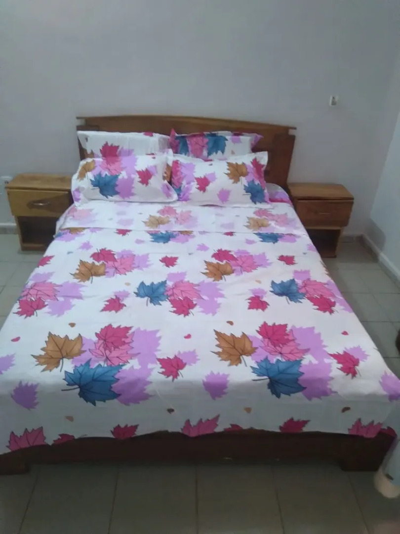 The Furnished Residences of Fasso Kanu -villa