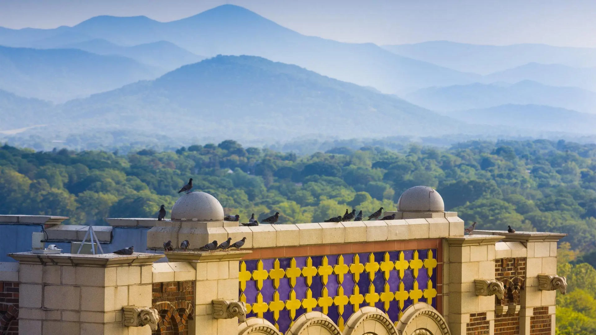 Hotel Indigo Asheville Downtown by IHG