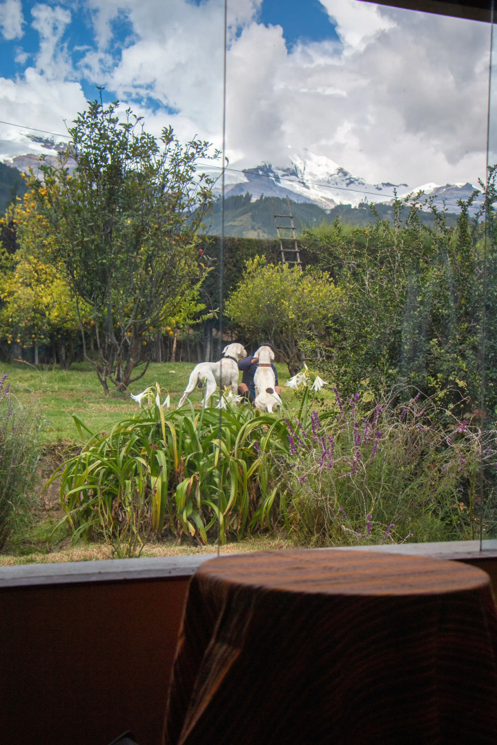 Yakumama Hostel y Restaurant