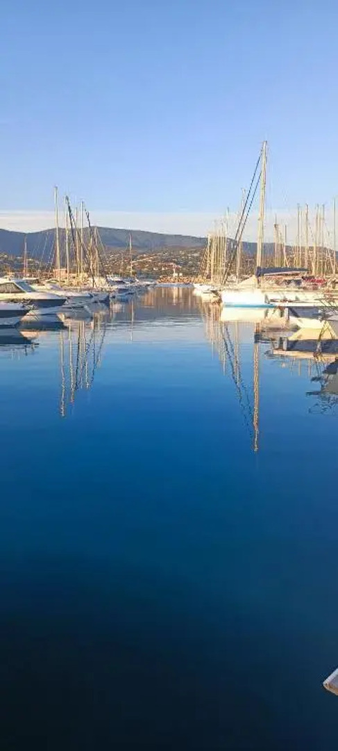 65 Rue Pierre Rameil Appartement