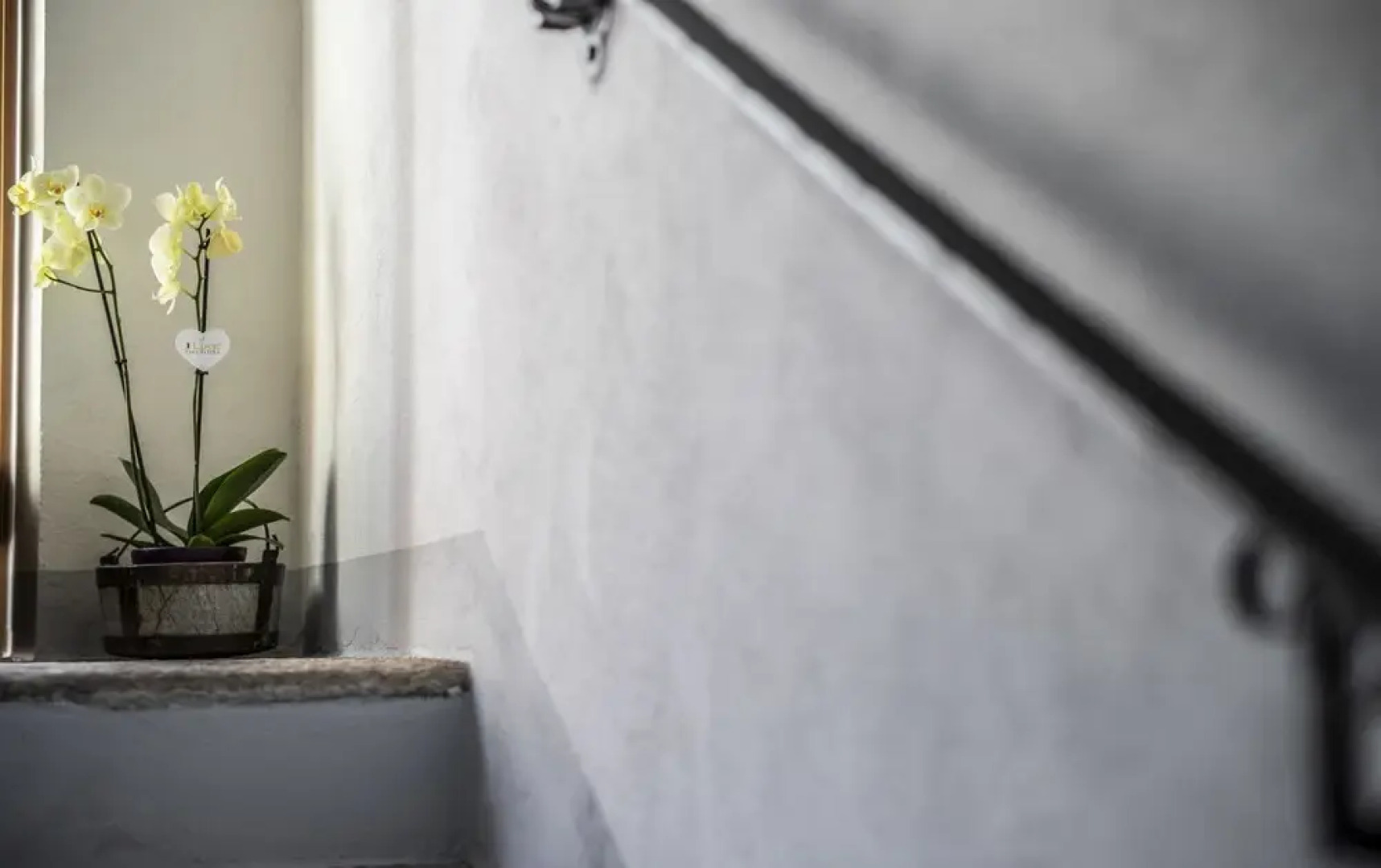 Casa Pasini Foresteria