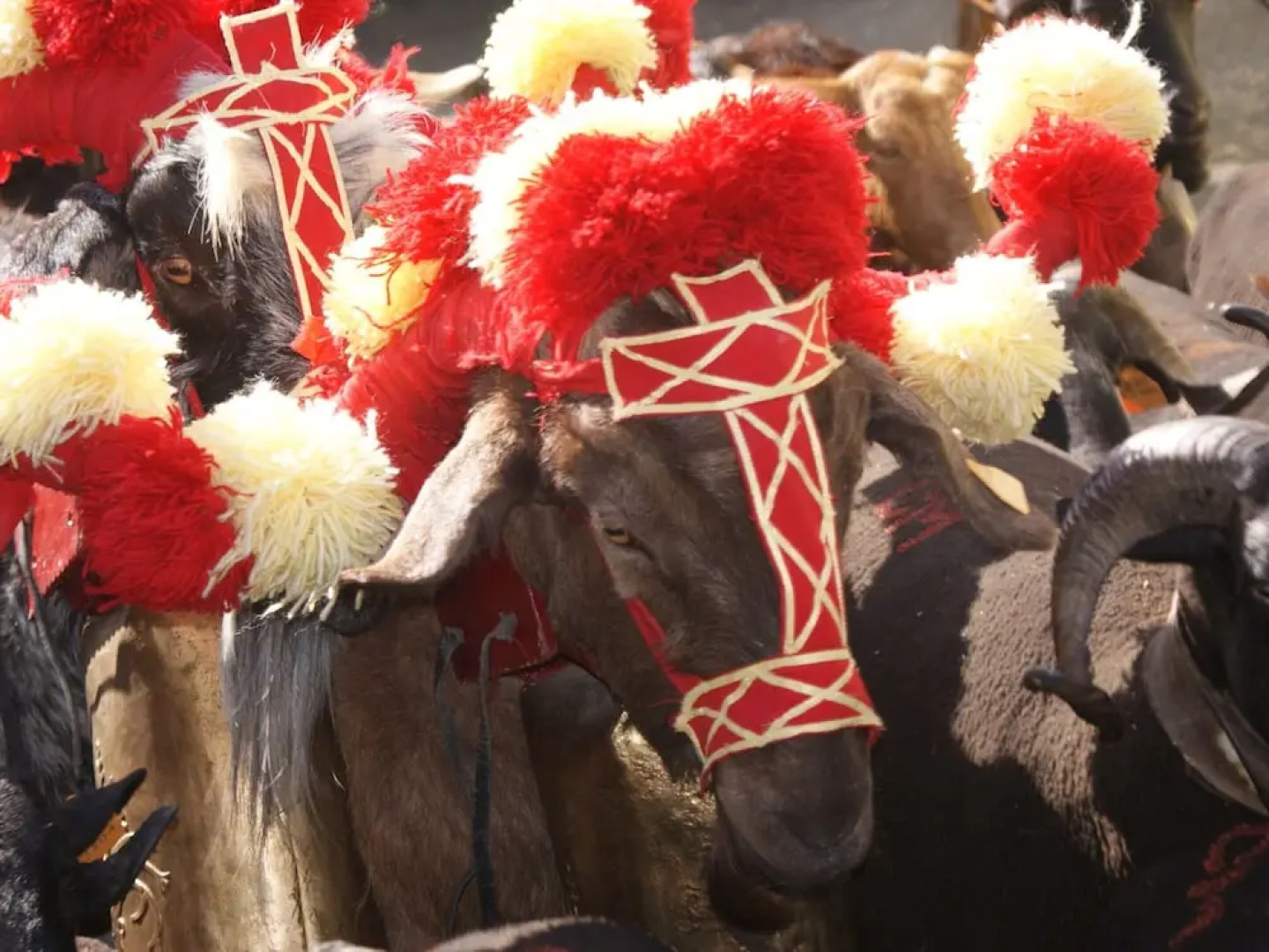 Holiday Home in Covas With Eco Pool