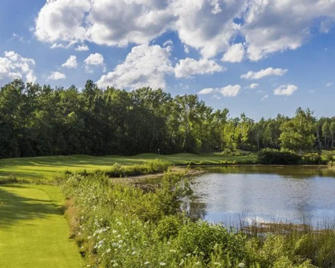 Law Cranberry Resort Limited, Collingwood, Canada