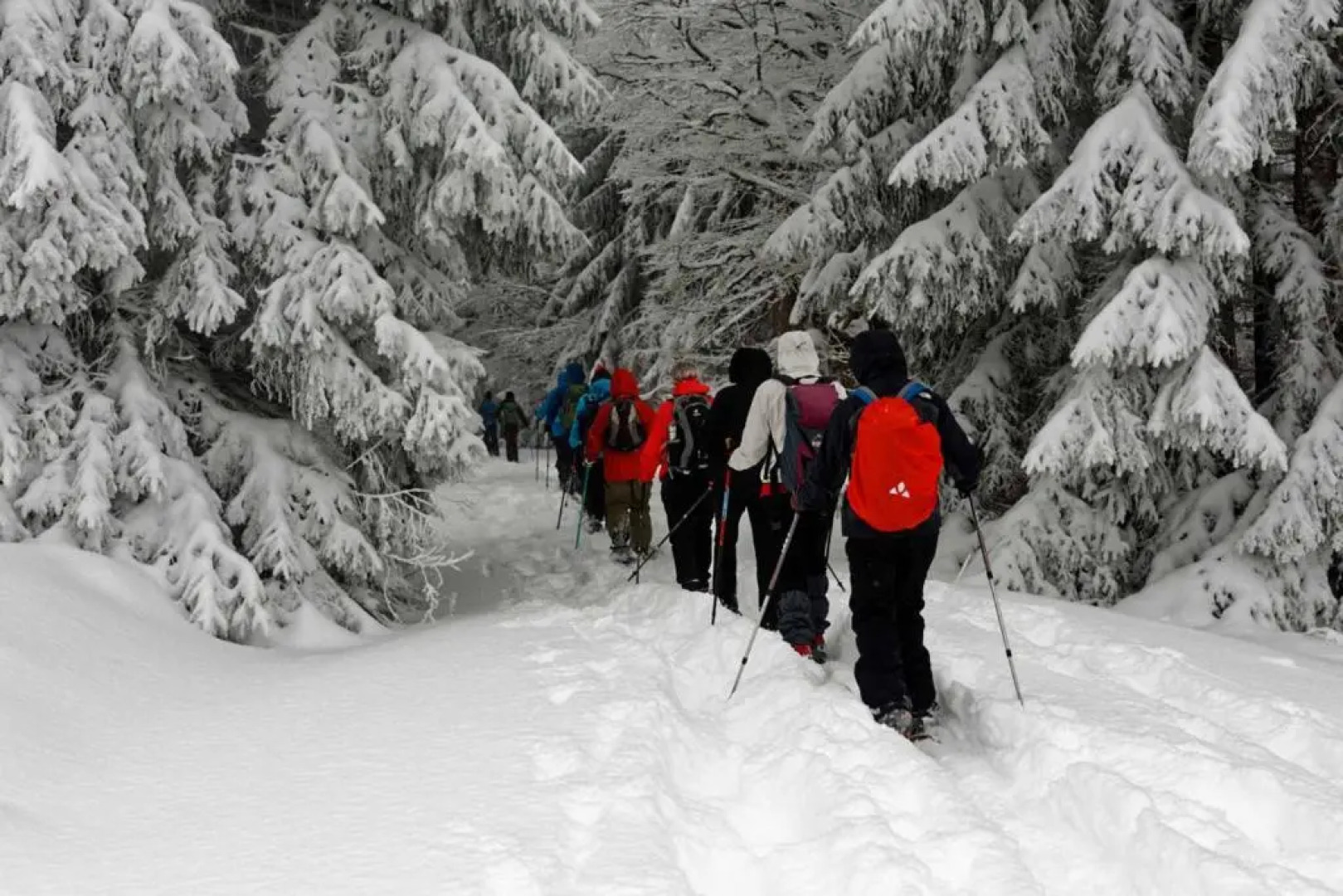 Ferienwohnung im Landhaus am Nationalpark