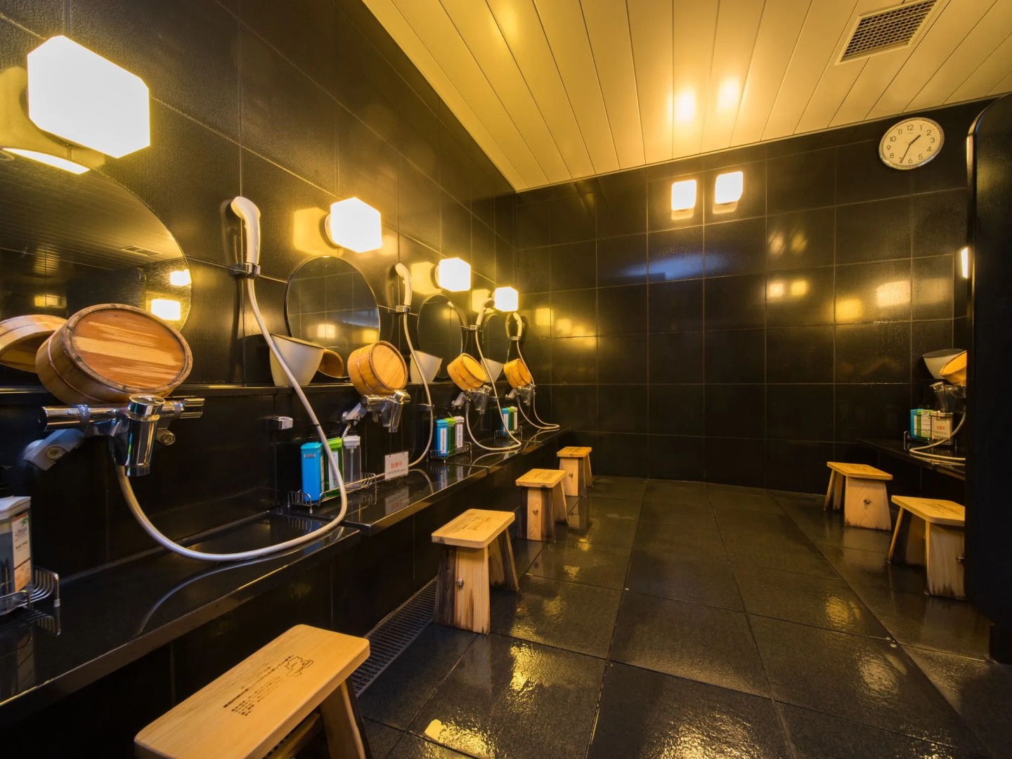 SUPER HOTEL Premier JR Nara Station