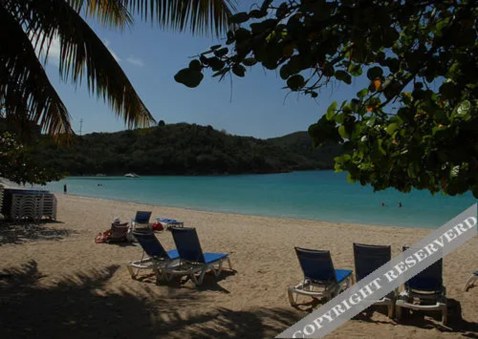 Island Beach Comber
