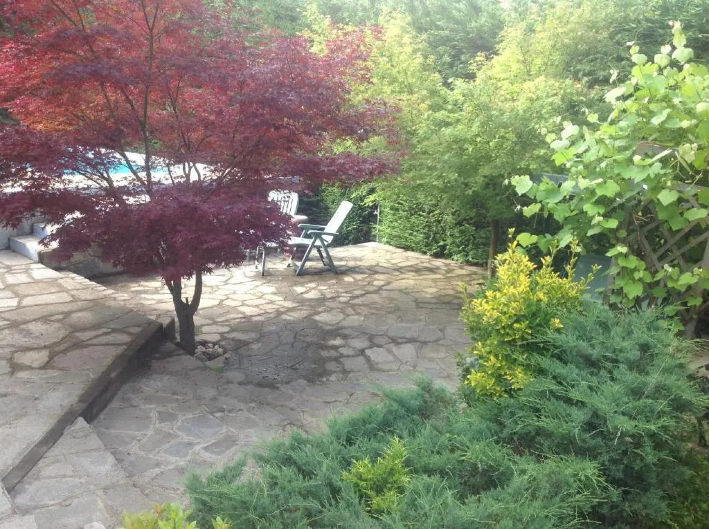 Nel Verde House di Rolando