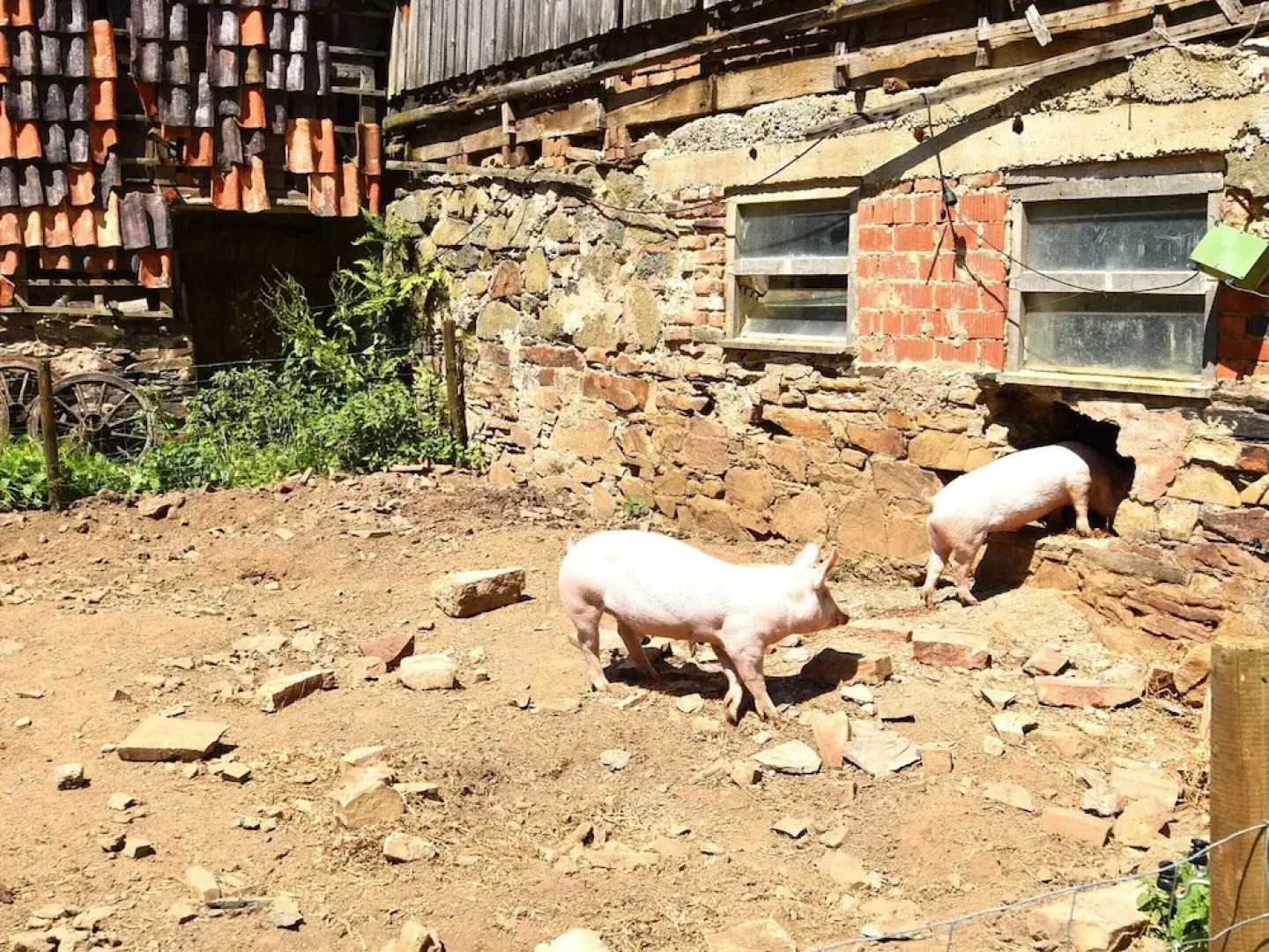 Holiday Farm Situated Next to the Kellerwald-edersee National Park With a Sunbathing Lawn