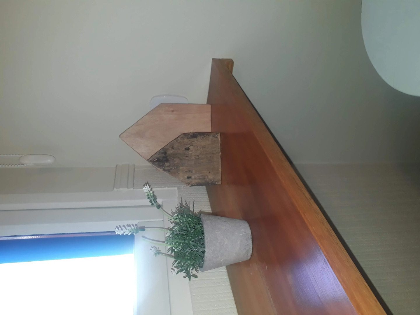 Posada de las Aguilas