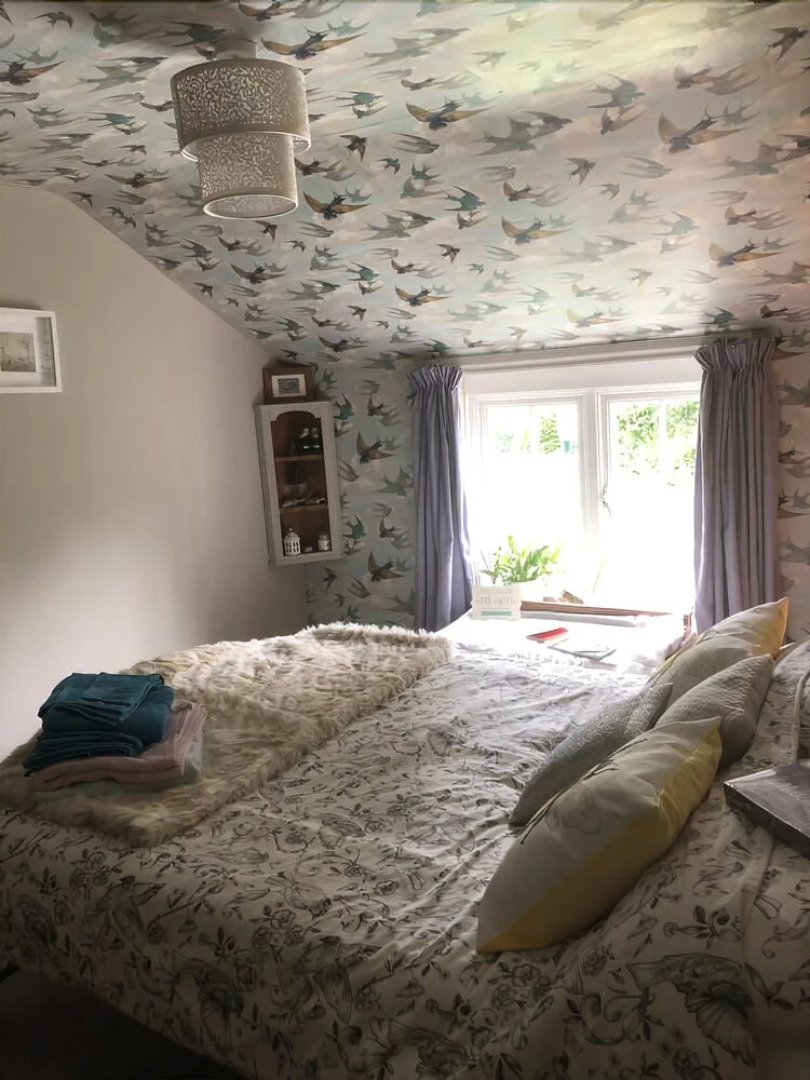 Forest view Bed and Breakfast