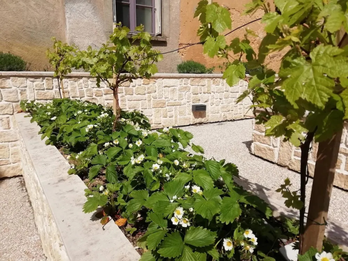L'auberge de Treigny - Hostel