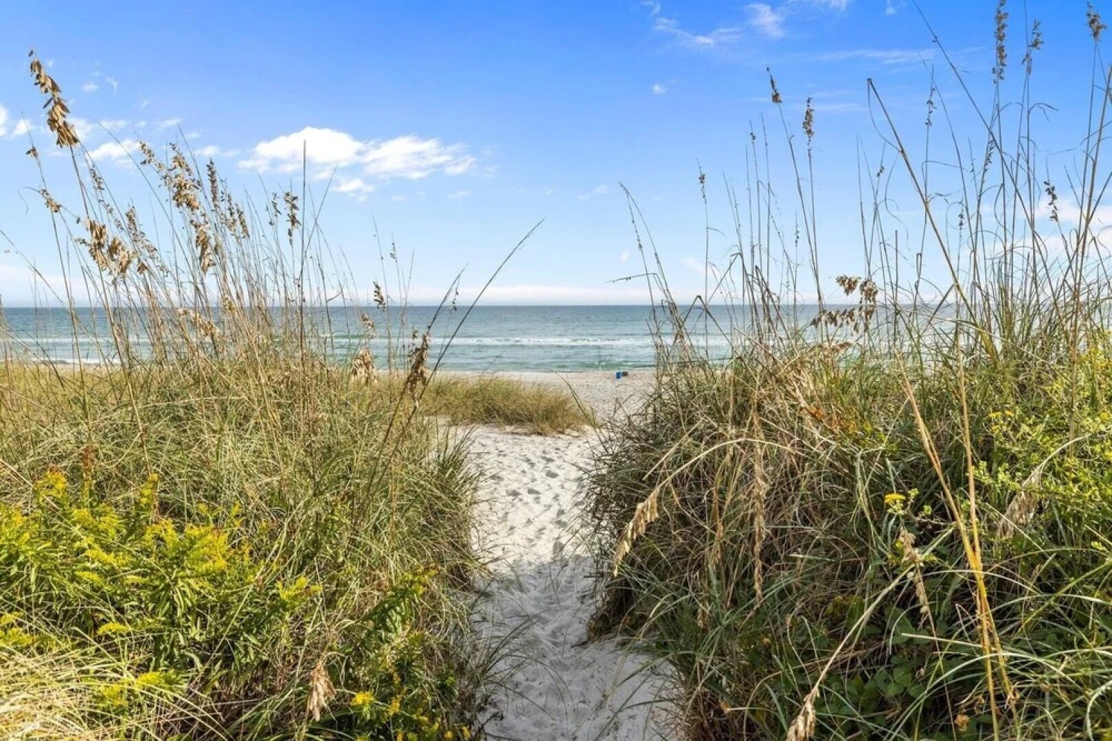 Sand Dollars & Sunshine 2 Bedroom Condo by Redawning