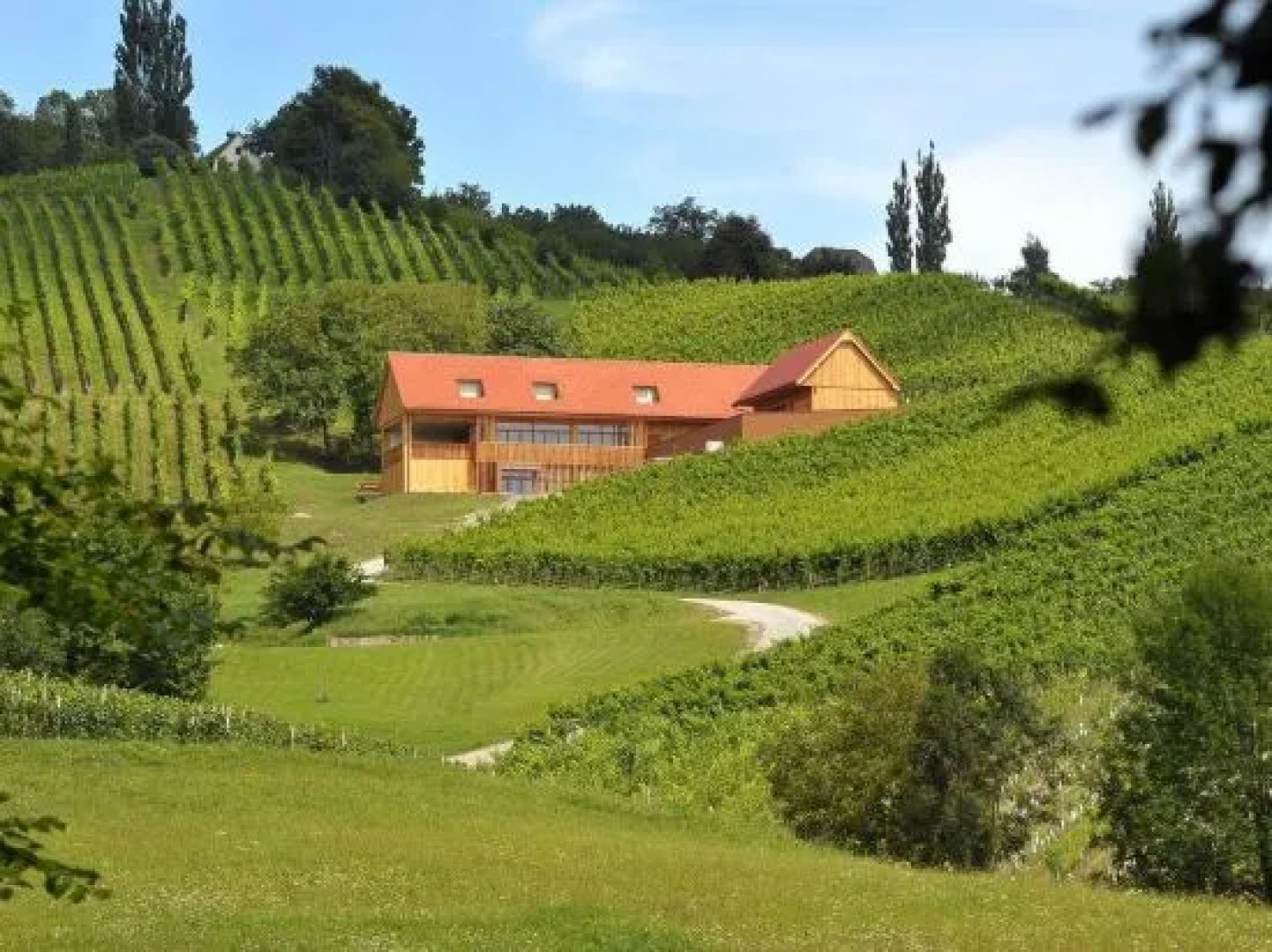 Wine & Tourisam Valdhuber Apartments