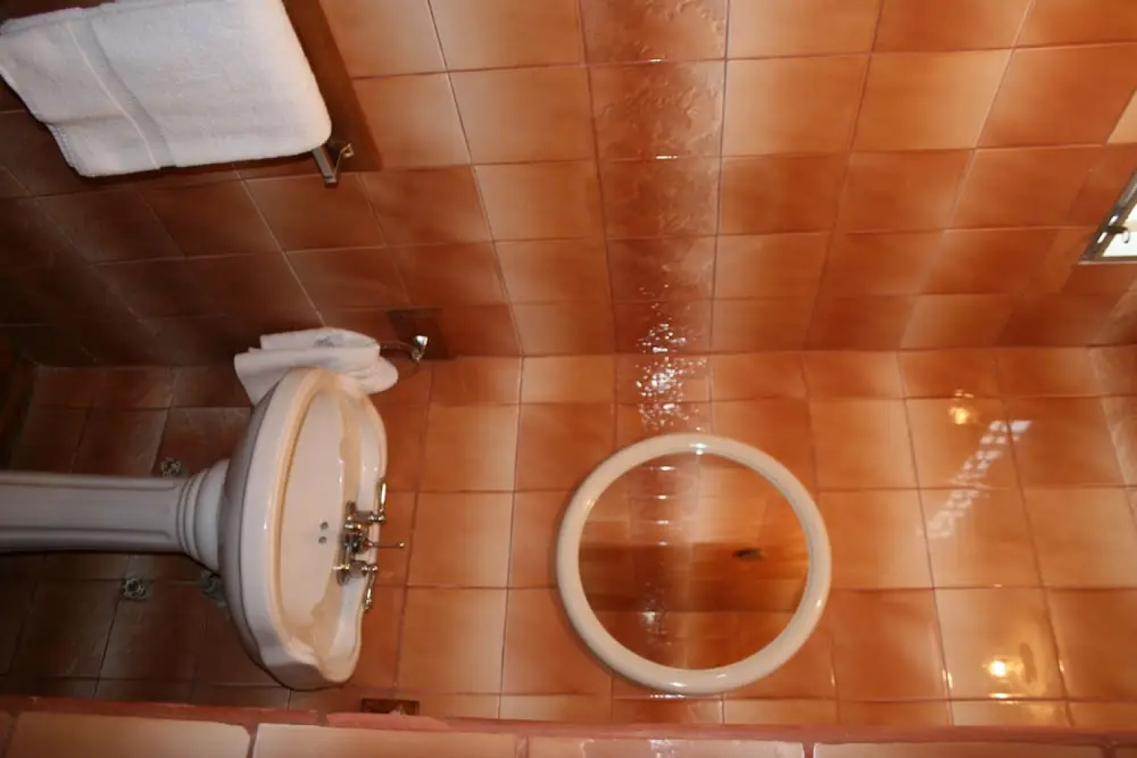 Hotel Olimpico Quevedo