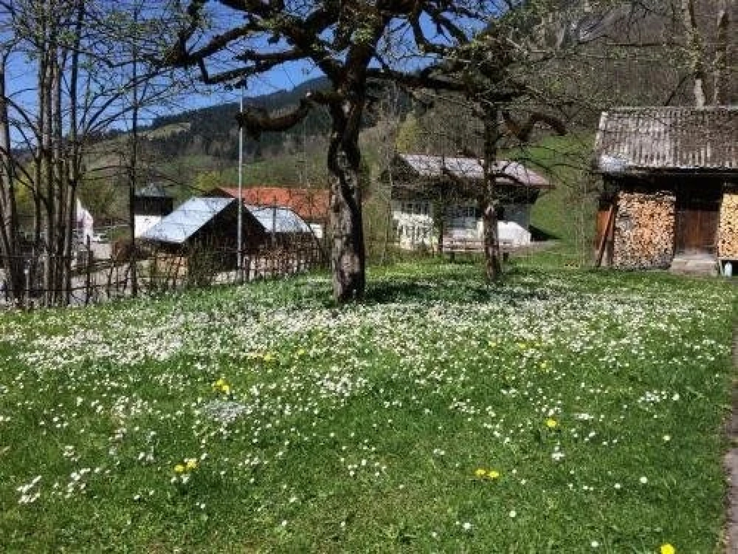 Ferienhaus Bad Hindelang