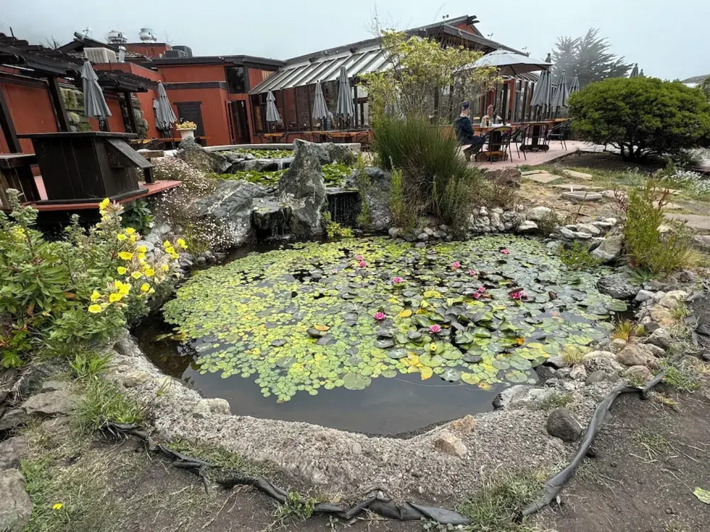 Ragged Point Inn and Resort