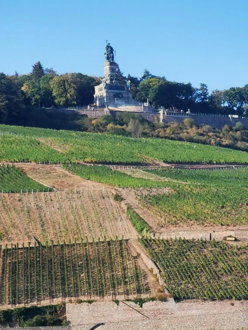 Rheinufer am Hindenburgpark