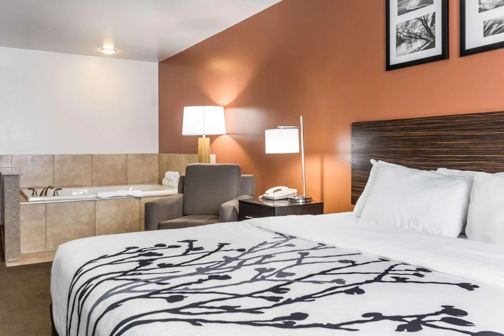 Sleep Inn North Liberty