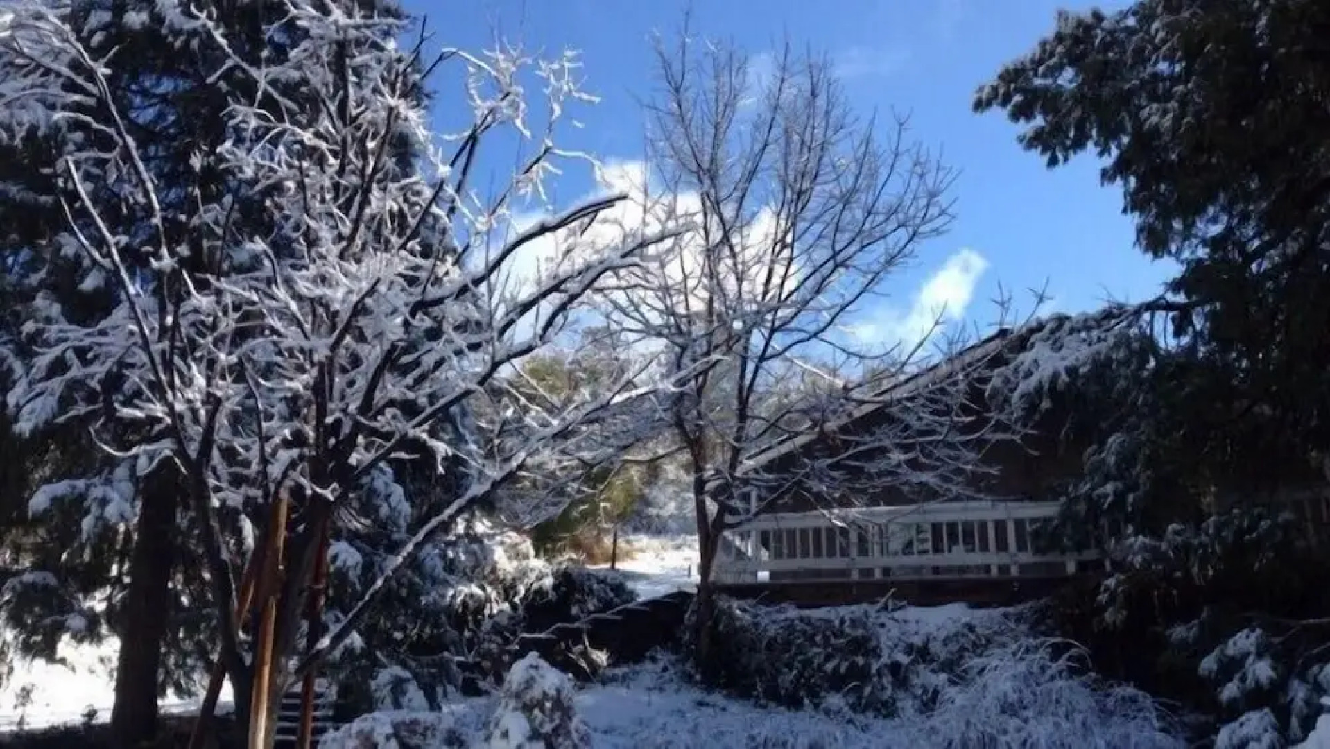 Scenic Wonders Fisherman's Oasis 3 Bd