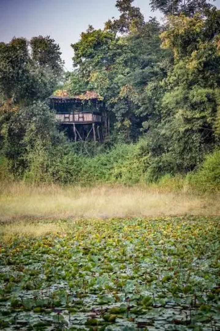 Tree House Hideway Bandhavgarh