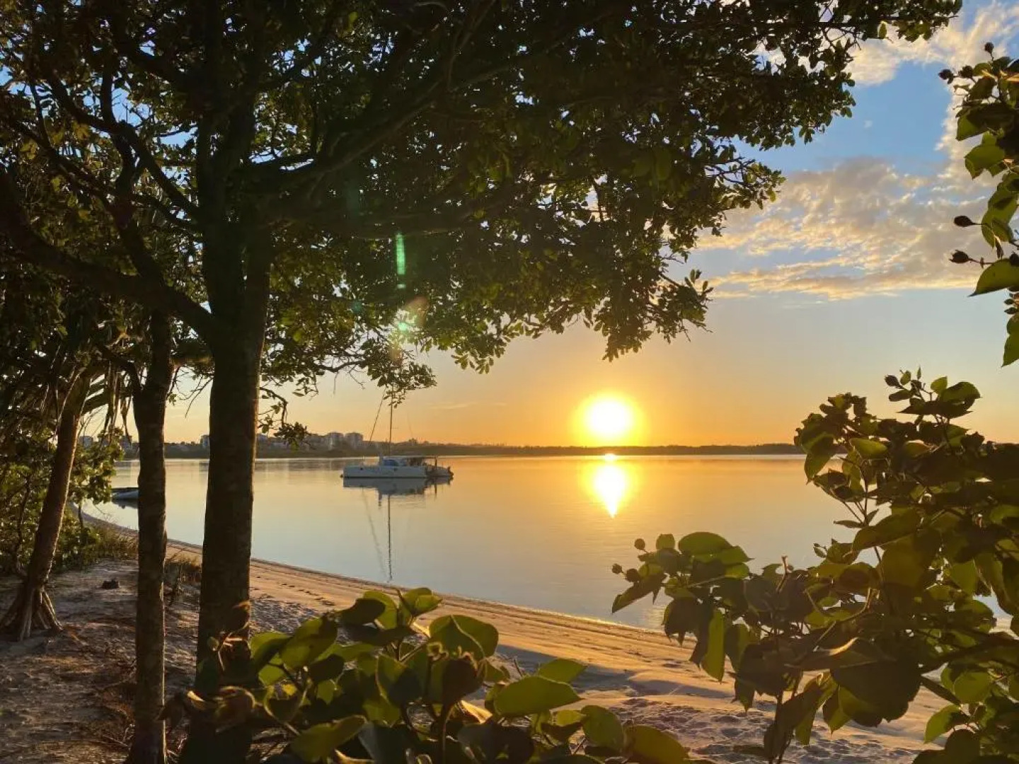 Belvedere Apartments