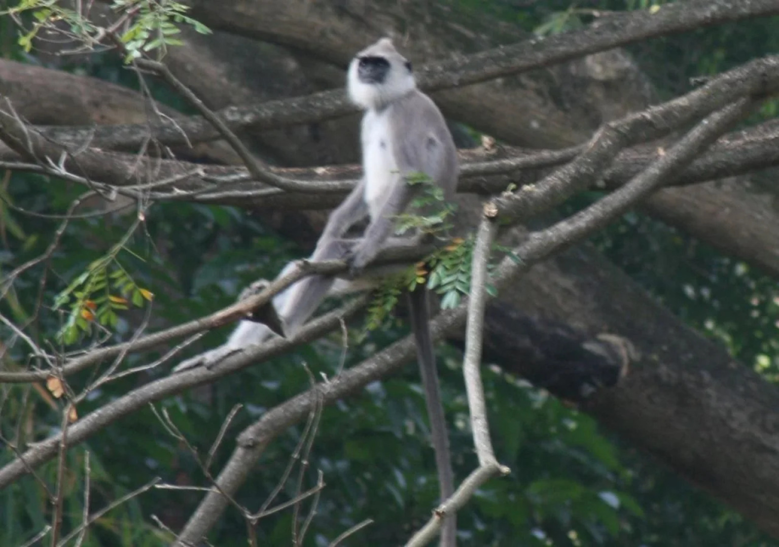 Dambuluy Oya Family Park