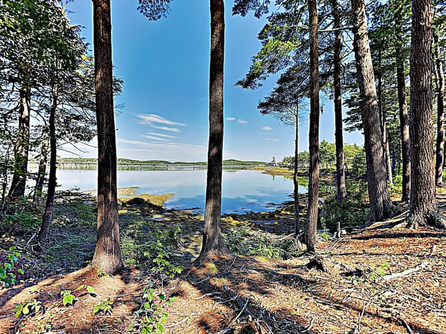 306 Eddy Road House Unit 615 by RedAwning