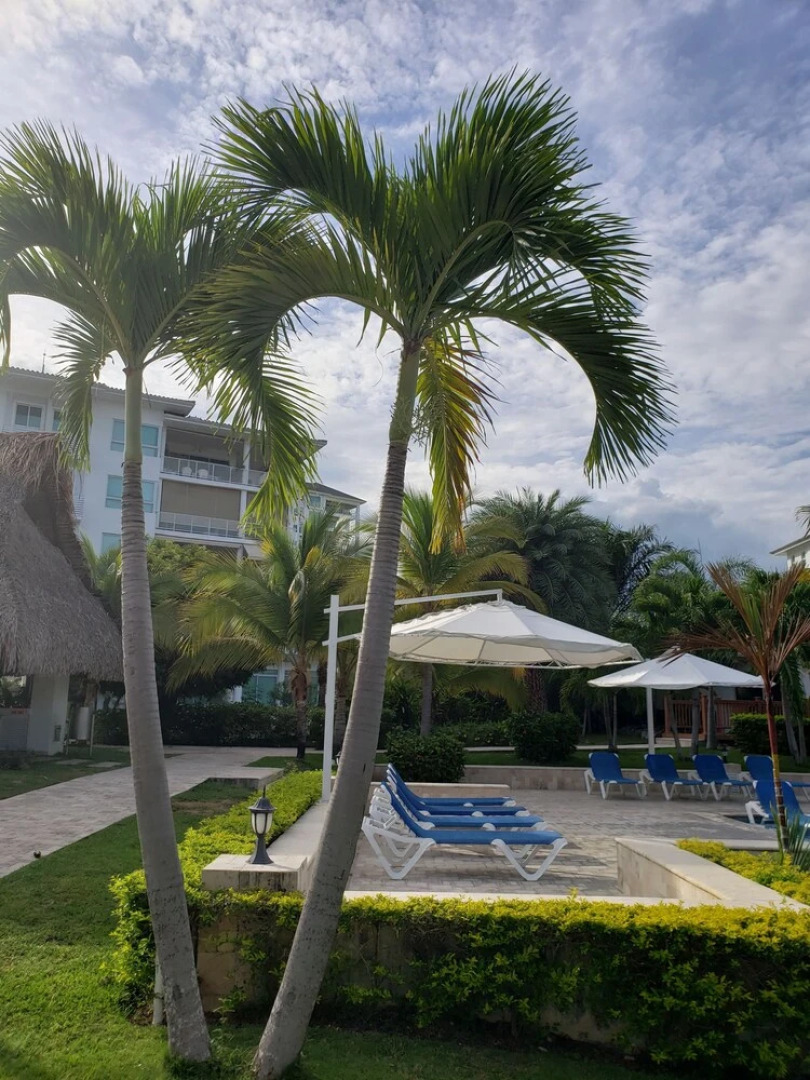 Bijao Beach Residences