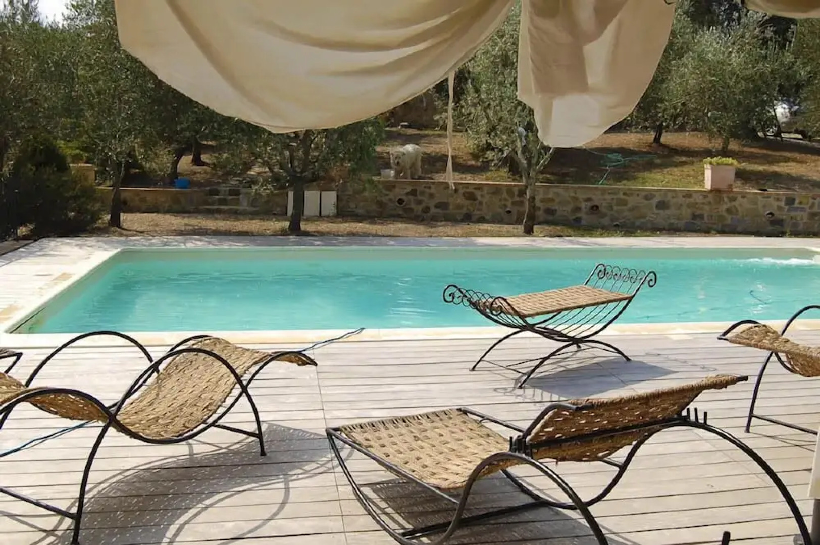 Verdidea - Poggio Aperto