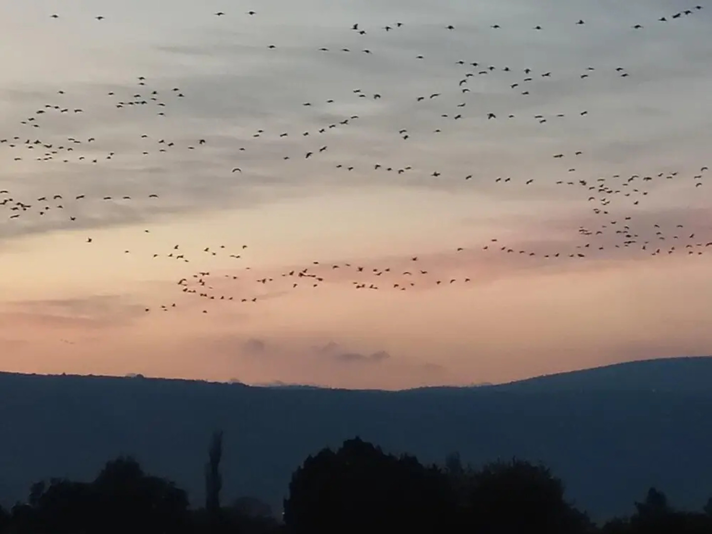 אצלנו - בגליל העליון