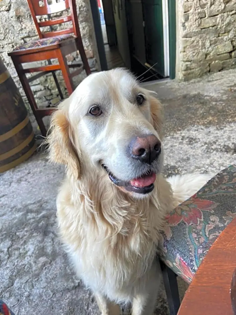 Geoghegans Magpie Bar and B&B