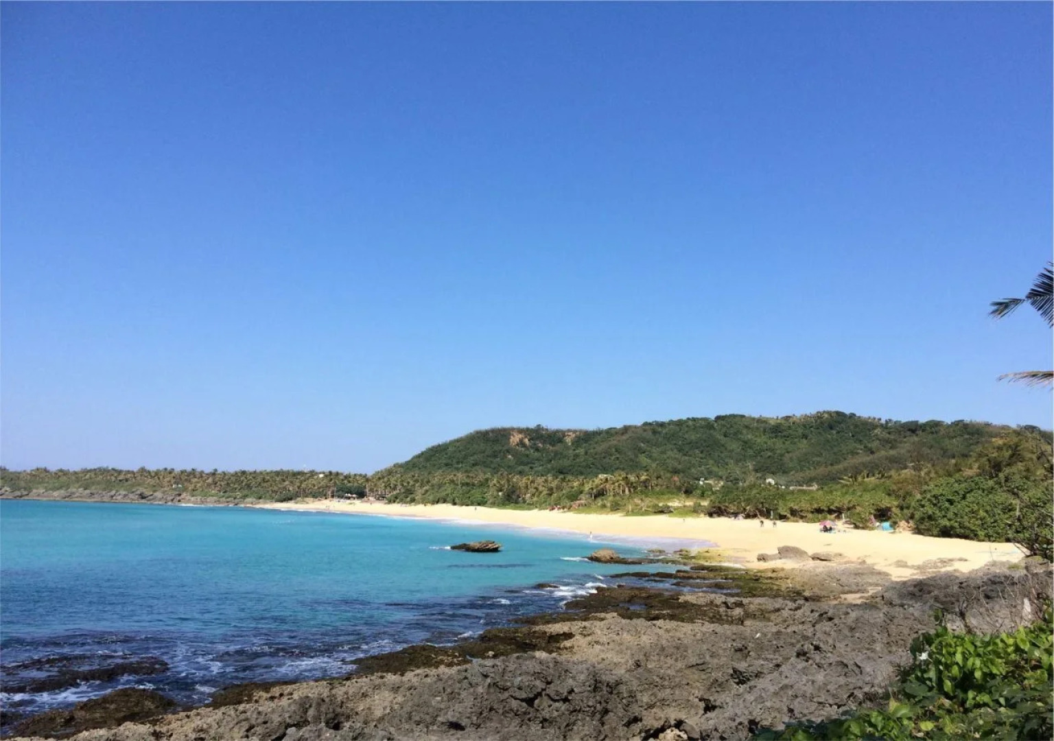 Bay Forest Boutique Hotel