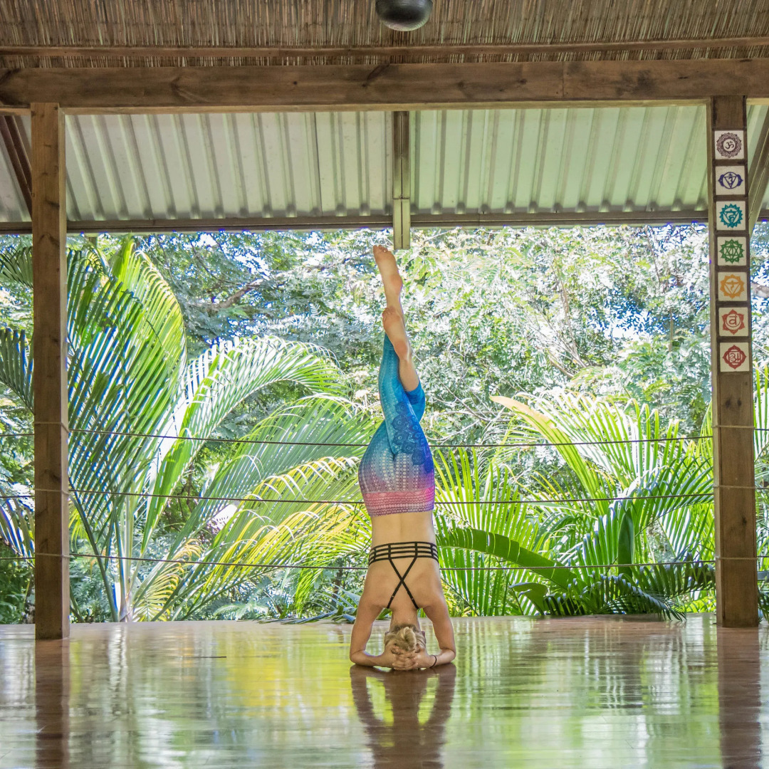 Nautilus Surf & Yoga Villas Santa Teresa