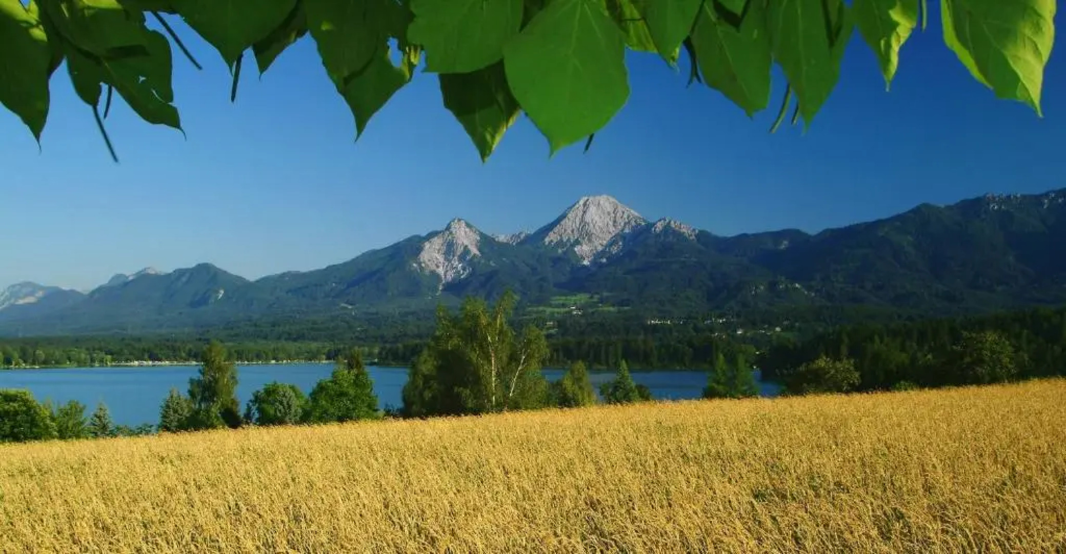 Hotel-Pension Melcher