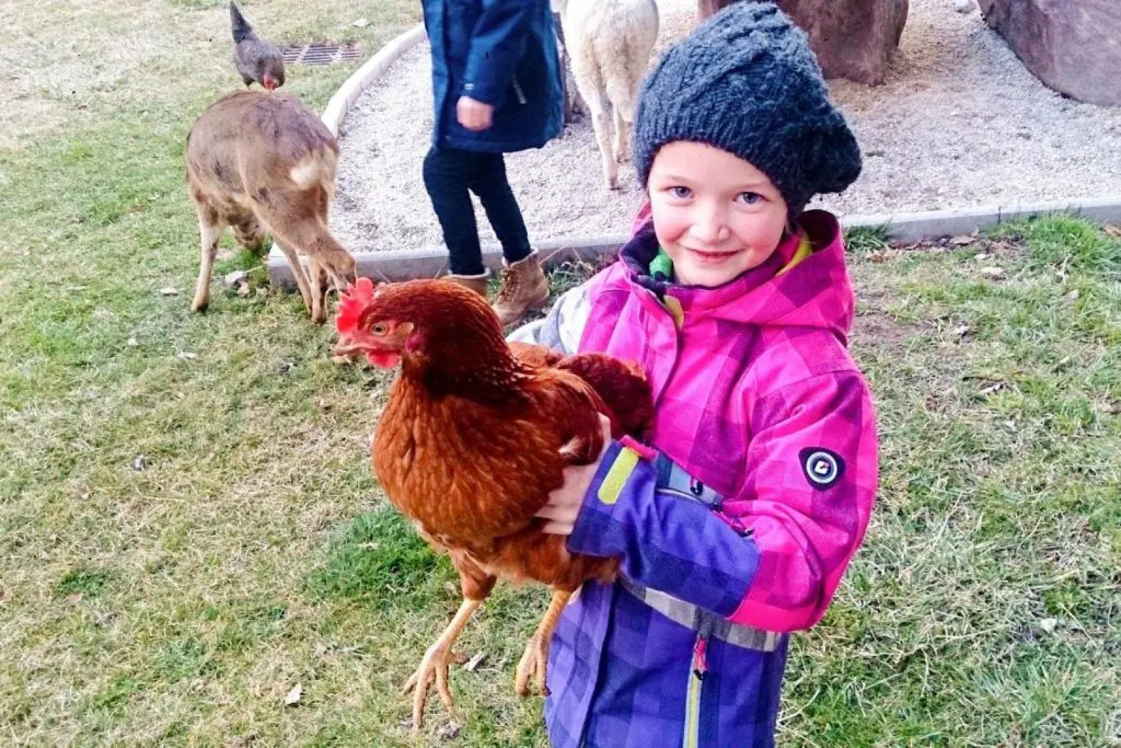 Schoenau Bio & SPA Family Apartments