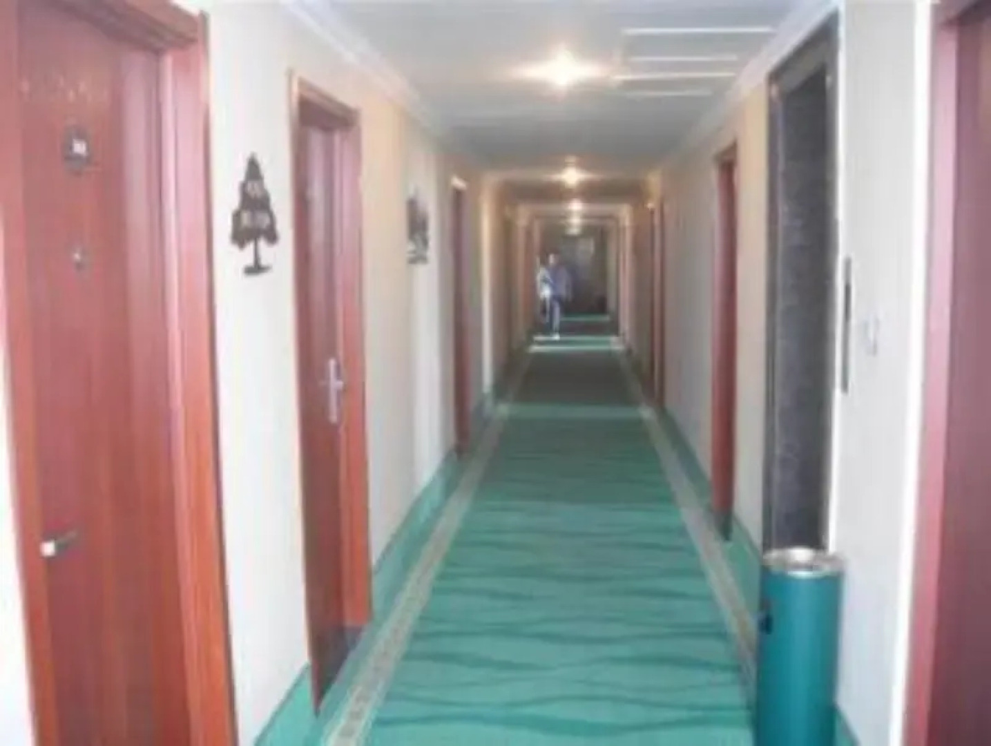 Green Tree Inn Express