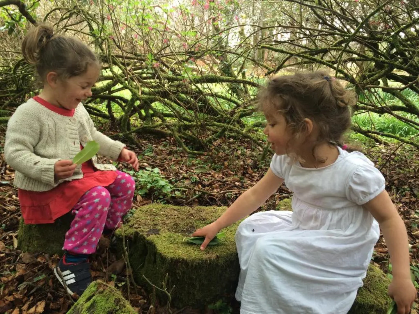 Bonawe House Holiday Cottages