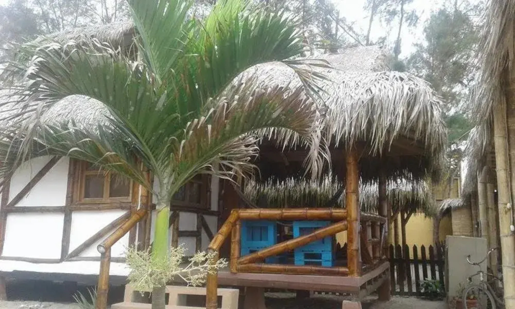 Arena Guadua Ecolodge Surfcamp