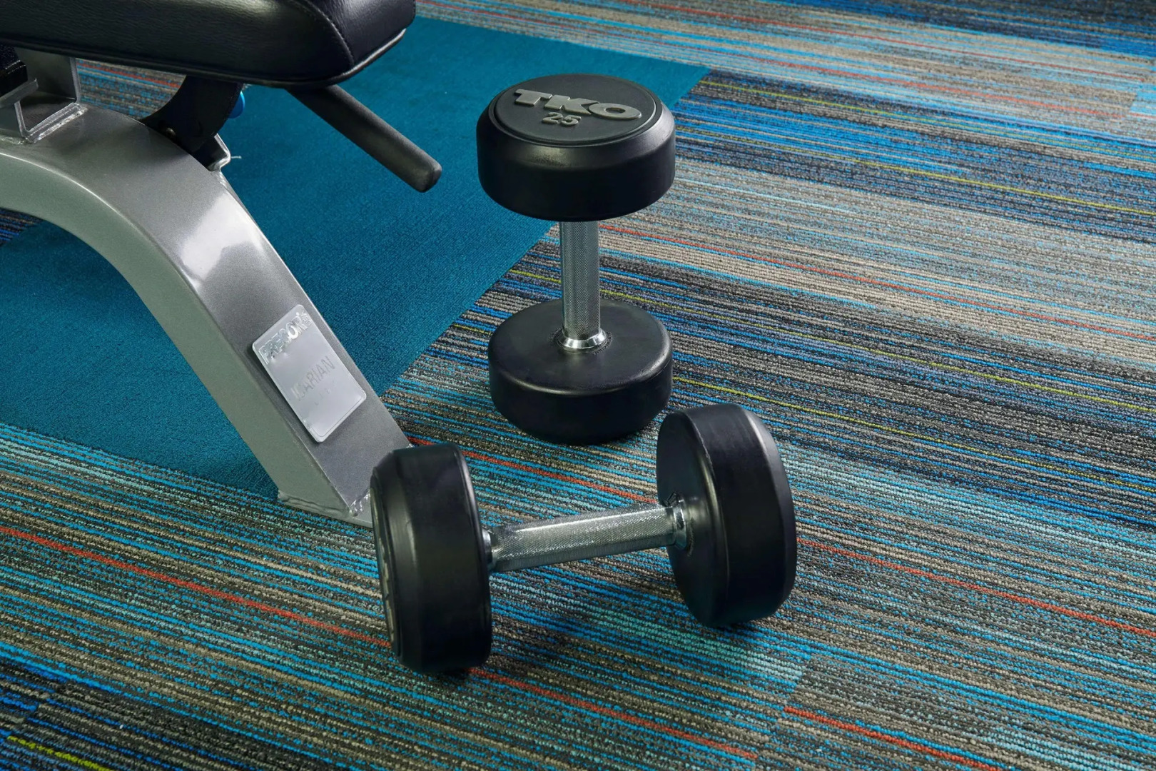 Wingate By Wyndham Chihuahua