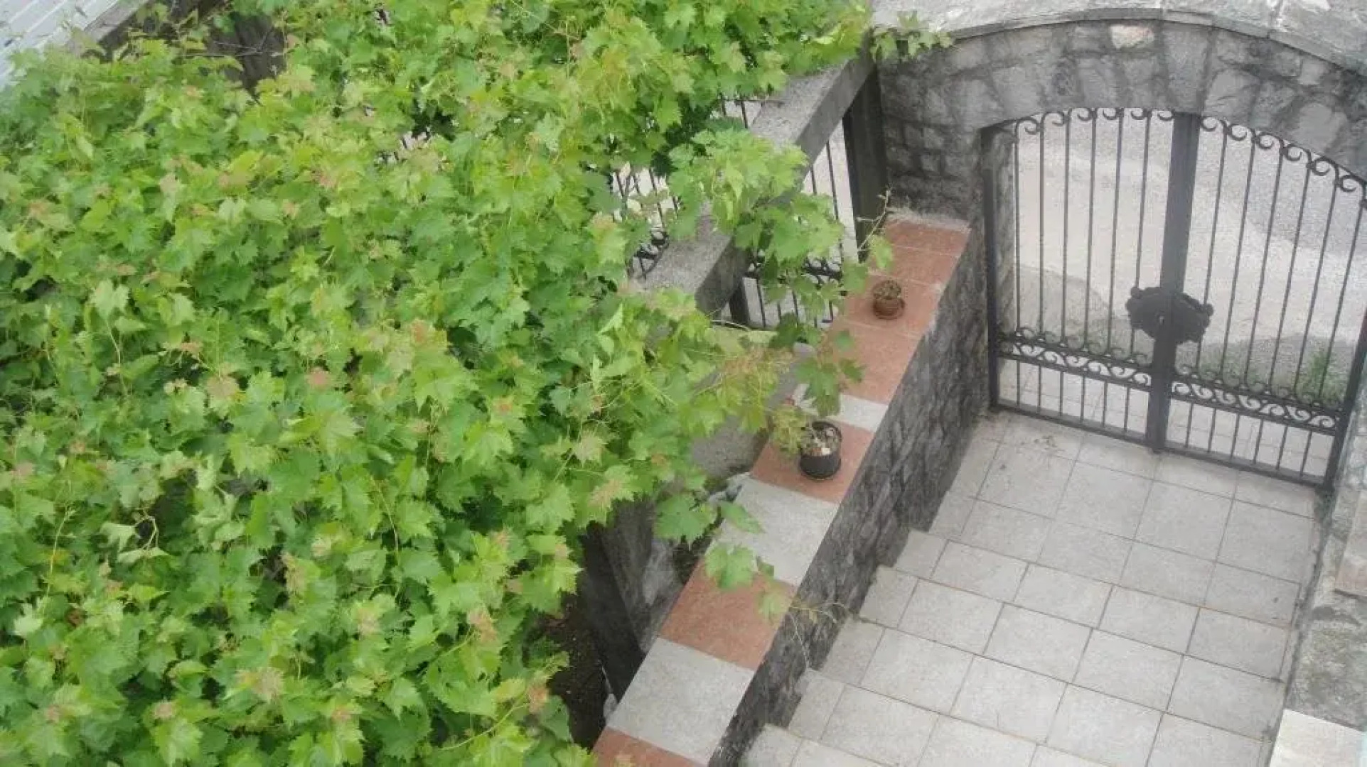 Guest House Energy for Life