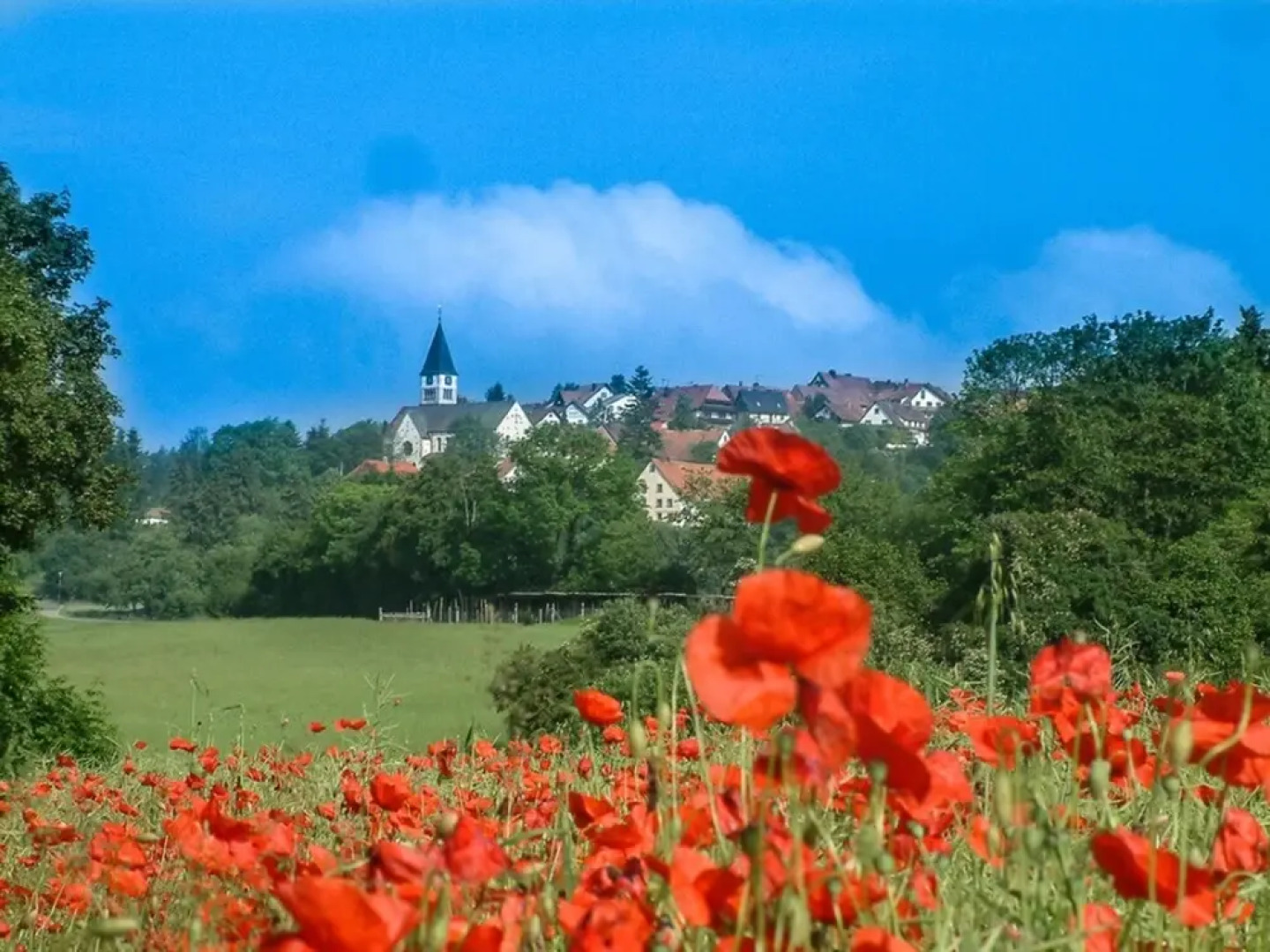 Landgasthof Alpenblick