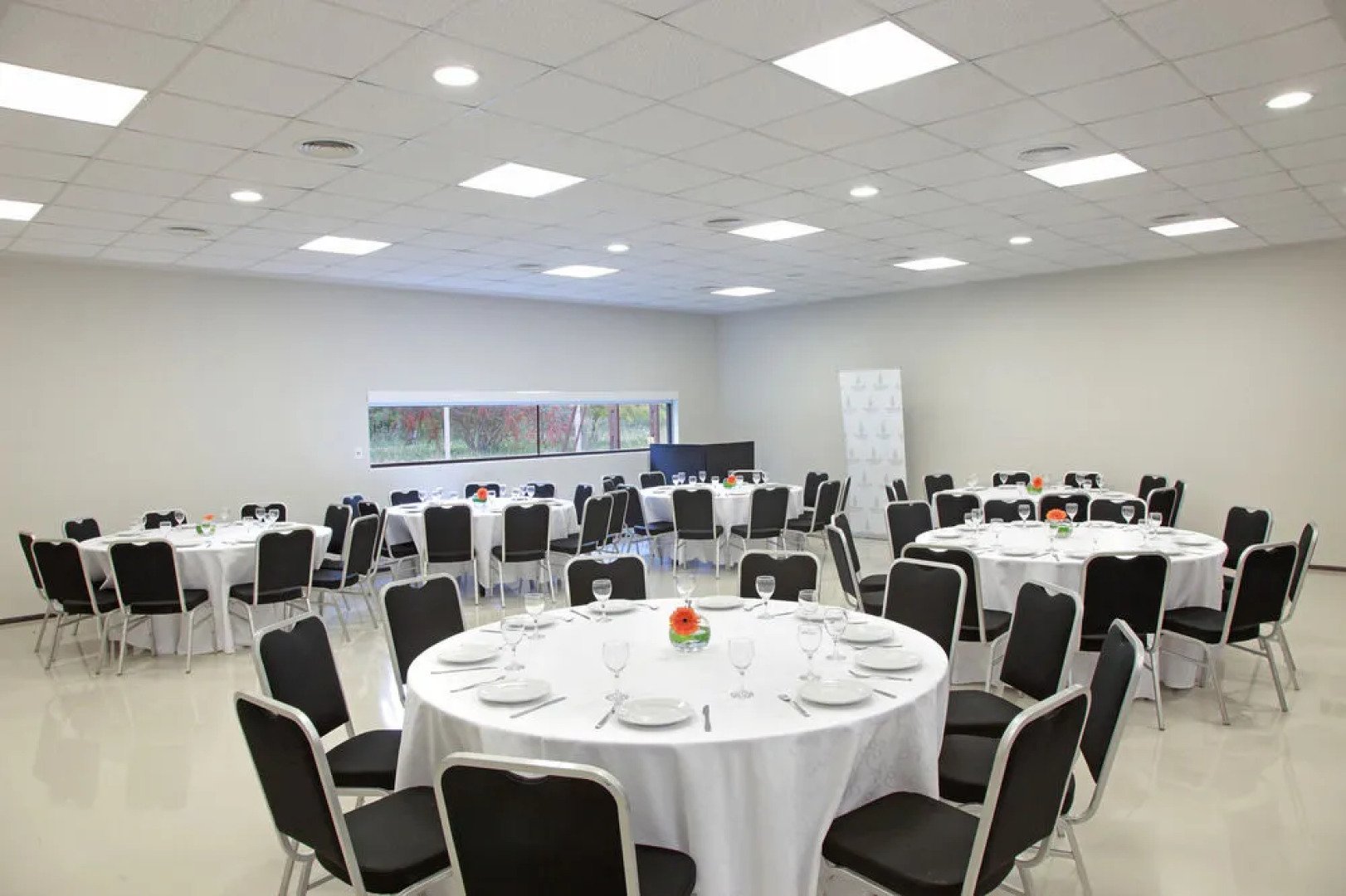 Dazzler by Wyndham Campana