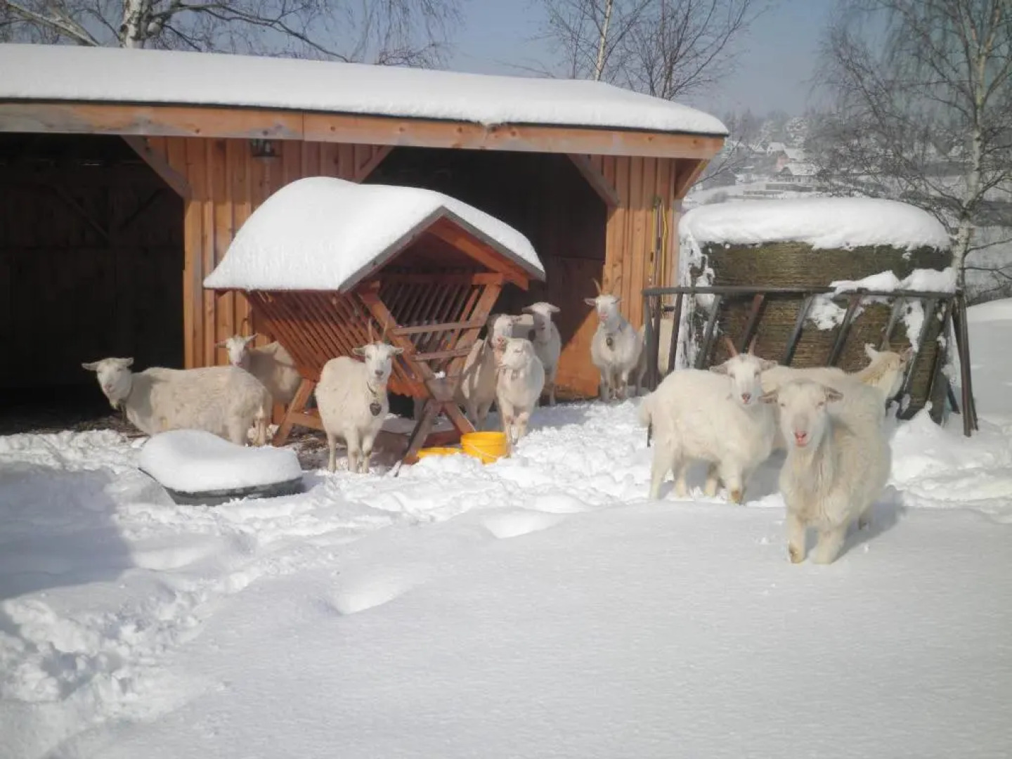 Sport-hotel Šibeniční vrch