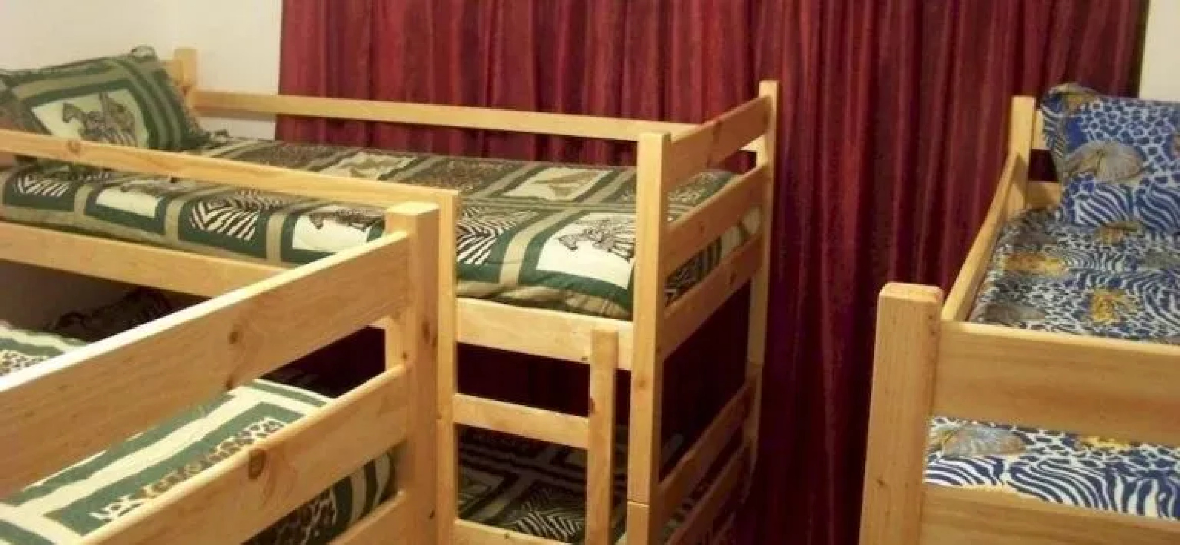 Dolphin House Backpackers and Self Catering