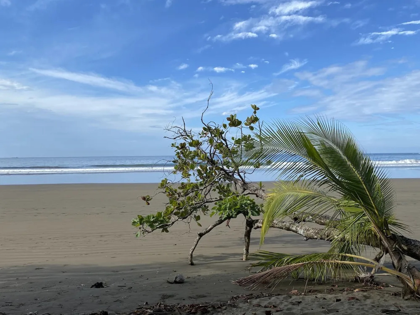 Uvita Oasis Retreat with Villa Cabins and Apartment