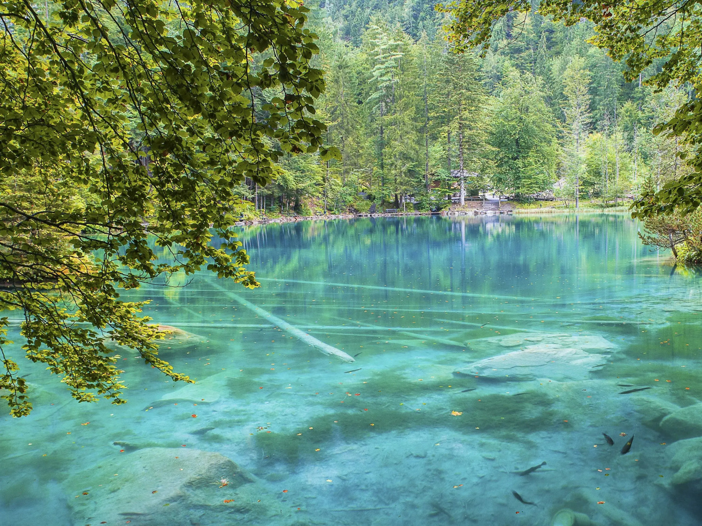 Hotel Blausee