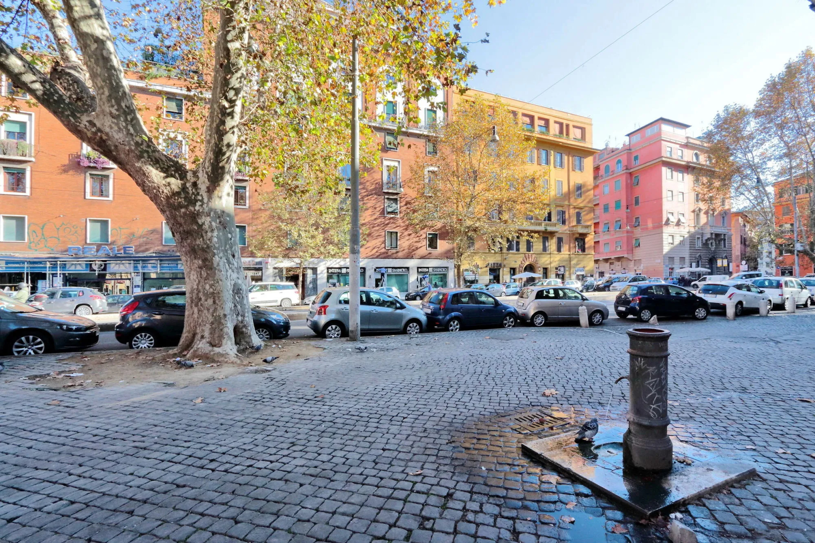 Sonnino Suite