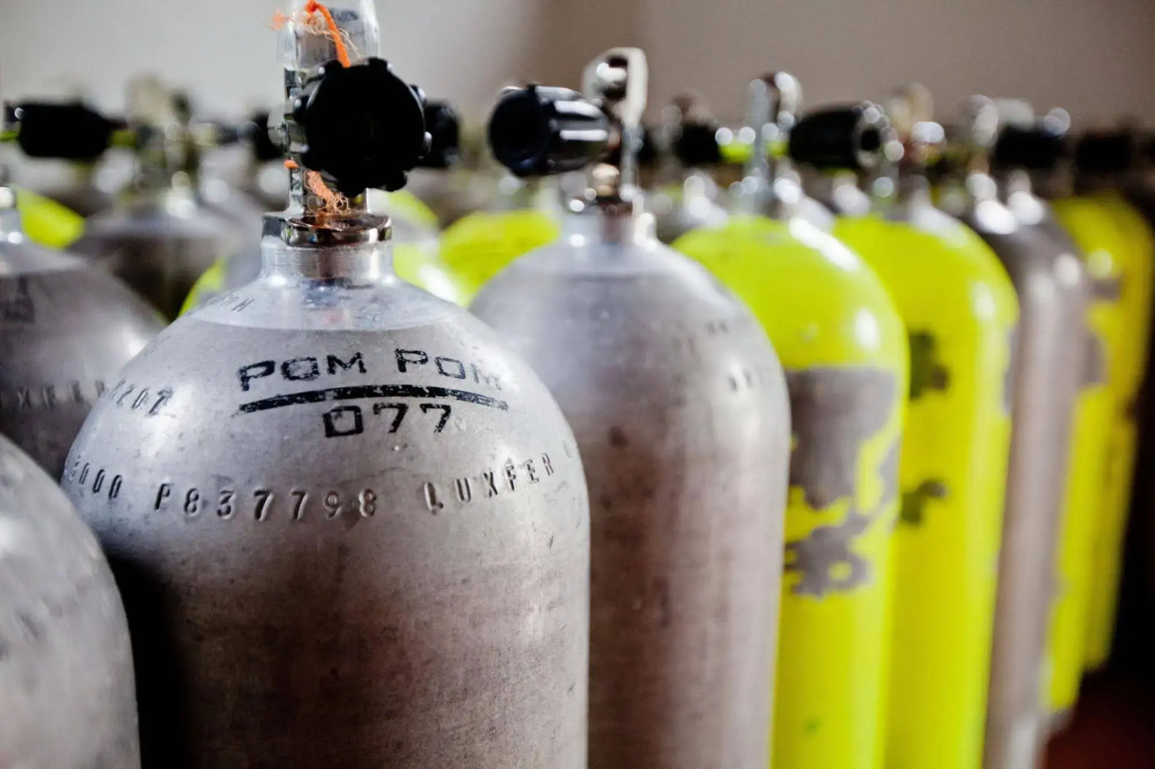 Pom Pom Island Resort