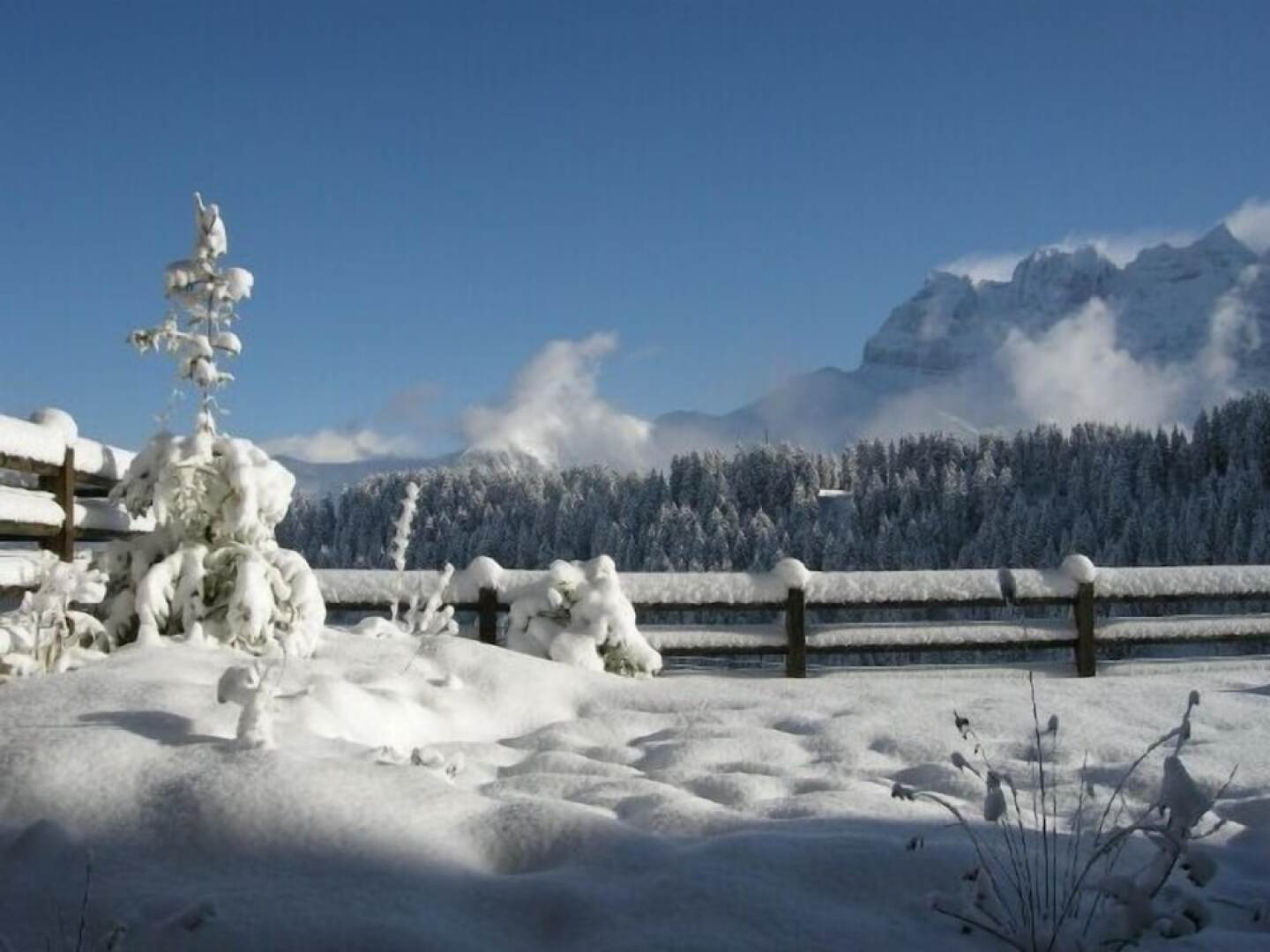 Appartement Esserts A14