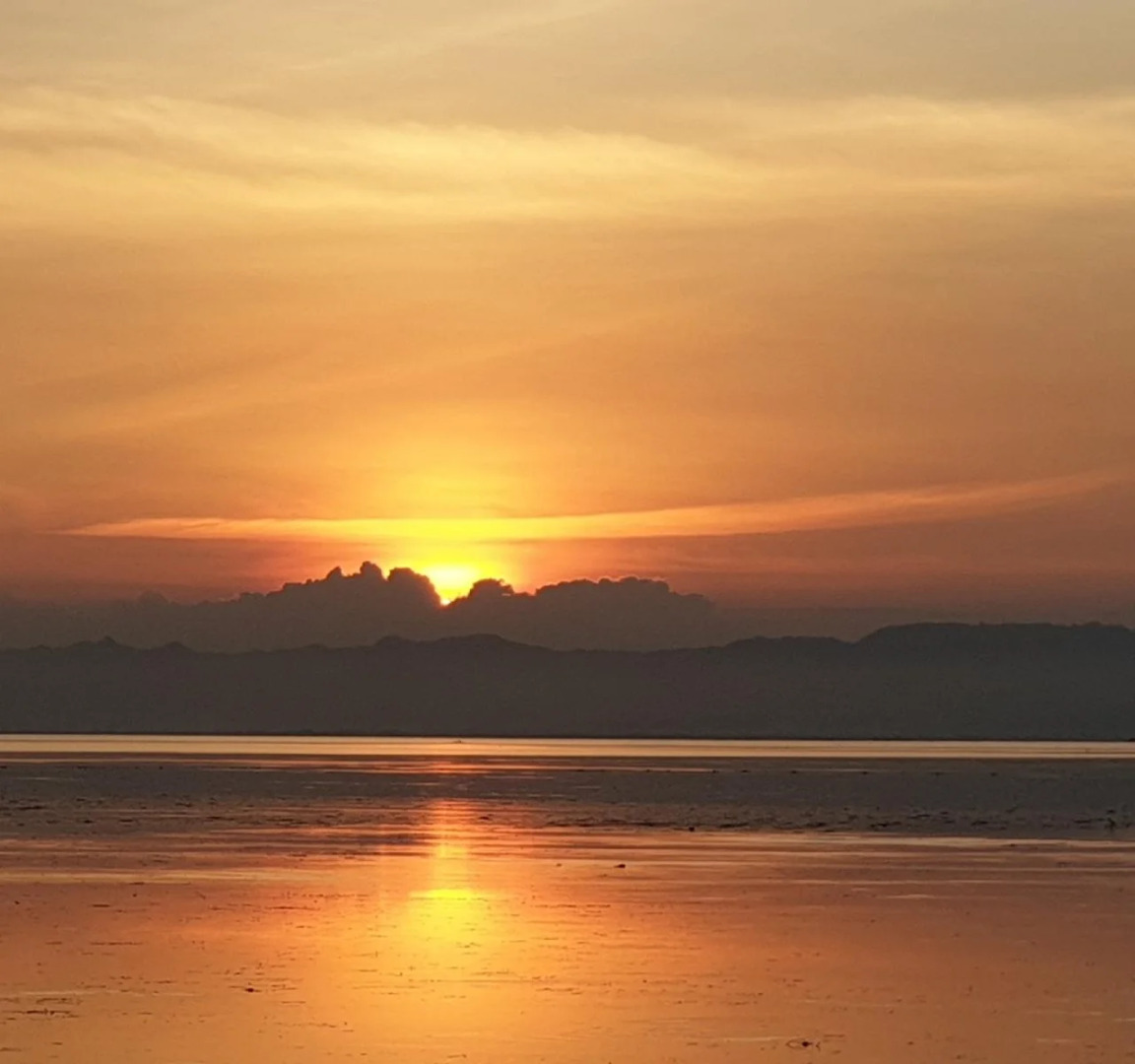 Nalusuan Island Resort and Marine Sanctuary